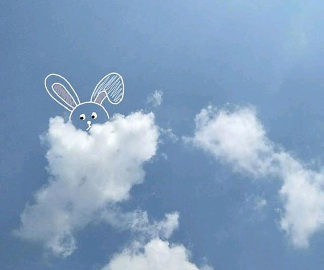 池嘉瑞